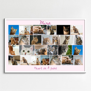 Create your cat photo collage with templates & custom text – print or download