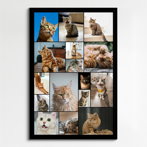 Create your cat photo collage with templates & custom text – print or download