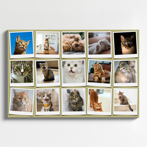 Cat Polaroid Photo Collage - add your cat's name & text; create yours now