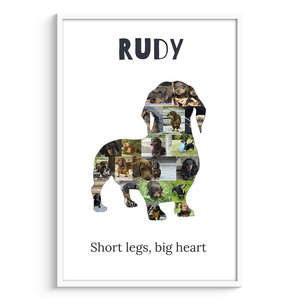 Create Your Custom Dachshund Photo Collage: Cherish Your Pet's Memories