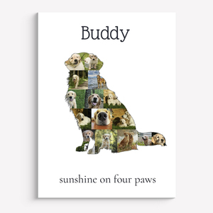 Create Your Golden Retriever Photo Memory
