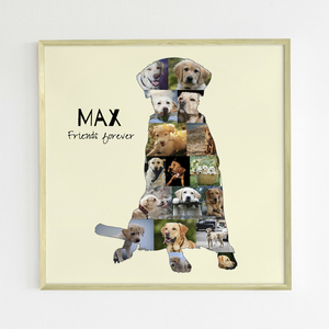 Create Your Own Labrador Photo Collage: Personalize with Photos & Text