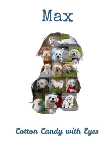 Create Your Maltese Photo Collage - Personalize with Your Pup's Photos and Text
