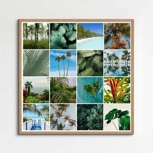 Nature Photo Collage Prints: Create your premium tropical plants, palms & rainforest