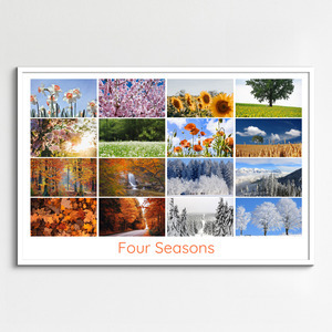 Create Your Photo Collage: Seasonal Nature, Landscape & Wildlife - Premium Prints