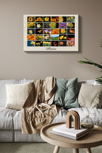 Create Your Classic Floral Grid Poster - Customize Photos and Text