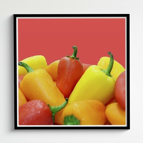 Cool Photo Canvas Poster Acrylic Dibond