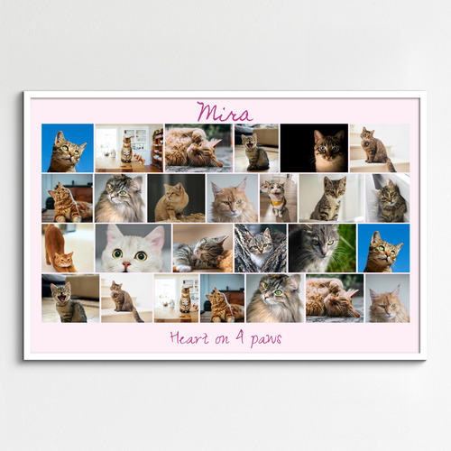 Create your cat photo collage with templates & custom text – print or download