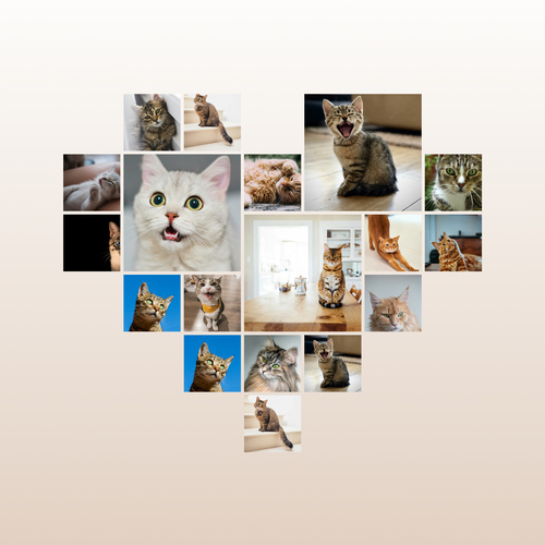 Cat Heart Photo Collage - Create yours now, add your cat's name or custom text