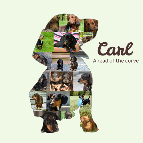Create Your Custom Dachshund Photo Collage: Cherish Your Pet's Memories