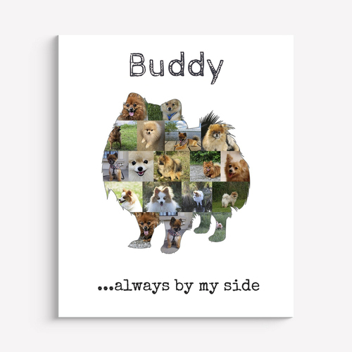 Create a Unique Pomeranian Photo Collage with Your Favorite Photos