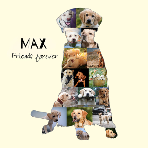 Create Your Own Labrador Photo Collage: Personalize with Photos & Text