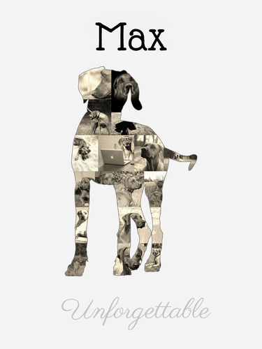 Create Your Personalized Rhodesian Ridgeback Dog Photo Collage