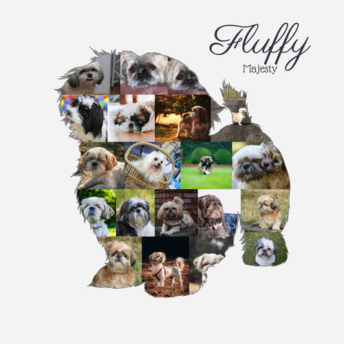 Create Your Own Shih Tzu Photo Collage - Personalize with Your Text