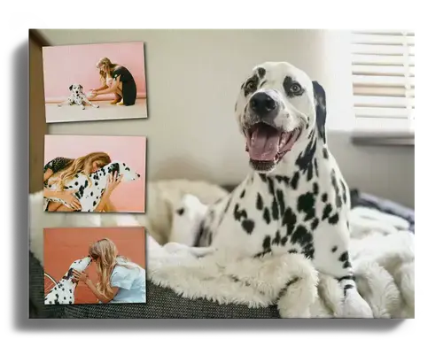 Create Your XXL Alu-Dibond Dog Collage - Personalize & Cherish Forever