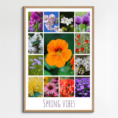 Flower & Plant Photo Collage Print – Create Yours Now, Premium Spring Blooms