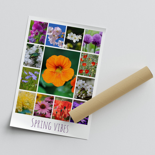 Flower & Plant Photo Collage Print – Create Yours Now, Premium Spring Blooms