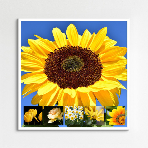Flower & Plant Photo Collage Print – Create Yours Now, Premium Spring Blooms