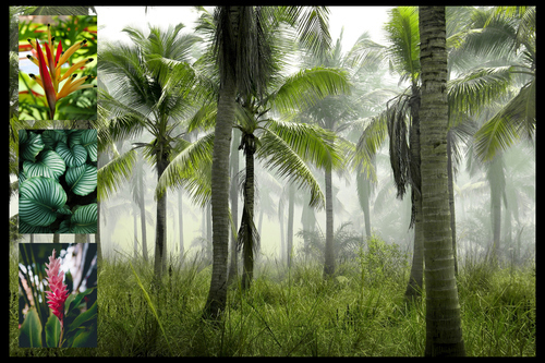 Nature Photo Collage Prints: Create your premium tropical plants, palms & rainforest
