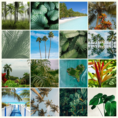 Nature Photo Collage Prints: Create your premium tropical plants, palms & rainforest