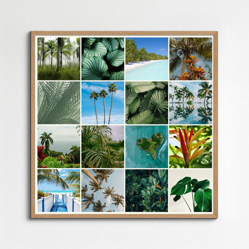 Nature Photo Collage Prints: Create your premium tropical plants, palms & rainforest