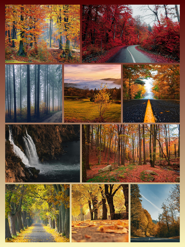 Landscape Photo Collage Prints—Design & Order Yours: Forests, Mountains, Seasons