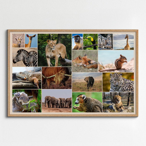 Wildlife Photo Collage – Create your animal & bird wall art, premium print, templates