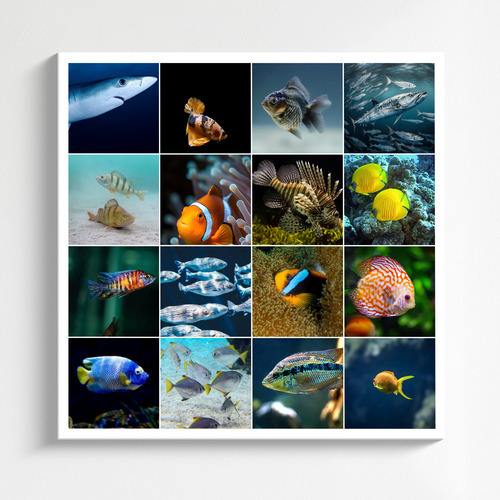 Underwater Photo Collages: Design Your Premium Prints of Sharks, Turtles & Dolphins