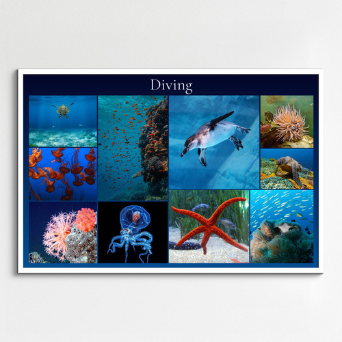 Underwater Photo Collages: Design Your Premium Prints of Sharks, Turtles & Dolphins