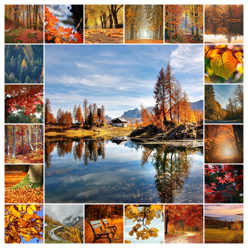 Create Your Photo Collage: Seasonal Nature, Landscape & Wildlife - Premium Prints