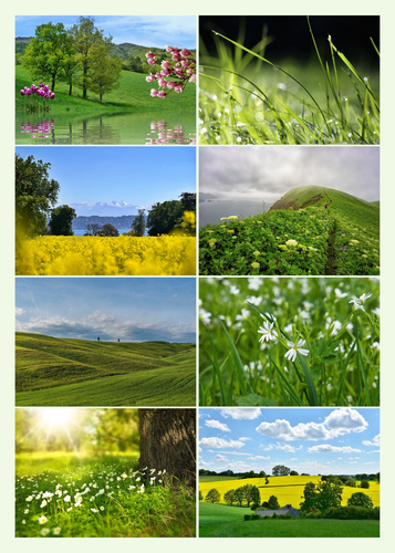 Create Your Photo Collage: Seasonal Nature, Landscape & Wildlife - Premium Prints