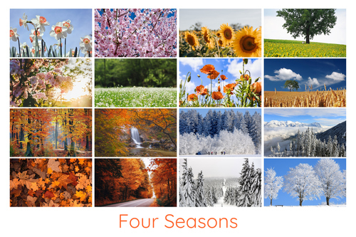 Create Your Photo Collage: Seasonal Nature, Landscape & Wildlife - Premium Prints