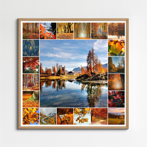 Create Your Photo Collage: Seasonal Nature, Landscape & Wildlife - Premium Prints