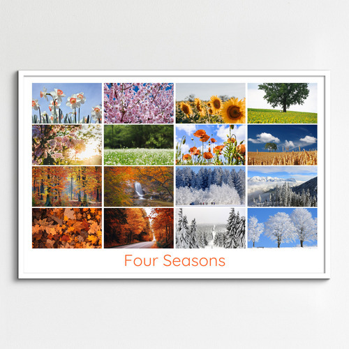 Create Your Photo Collage: Seasonal Nature, Landscape & Wildlife - Premium Prints