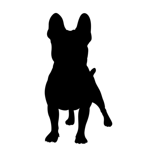 Dog silhouette French Bulldog standing