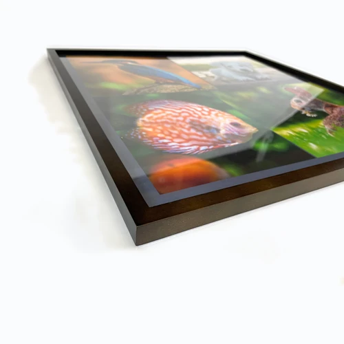 Framed photo collage: perspective